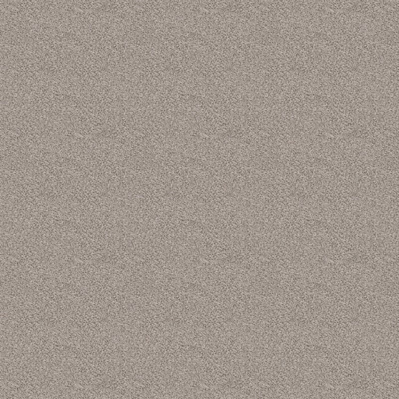 Dx118 carpet by Dixie Home