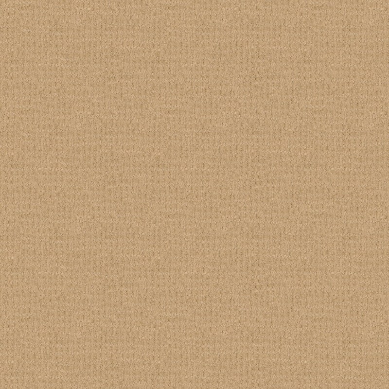 Yucatan carpet by Dixie Home