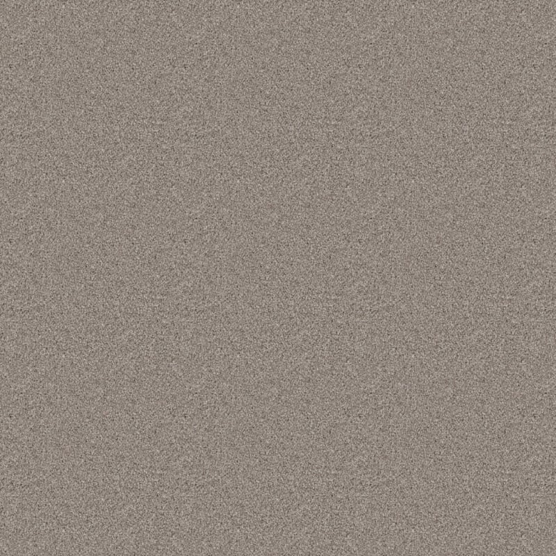 Adore carpet by Dixie Home