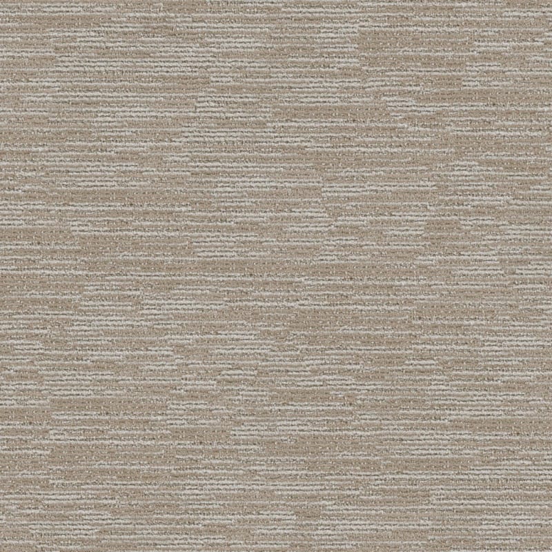Here Kitty carpet by Dixie Home