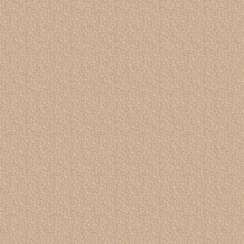 Cozy carpet by Dixie Home