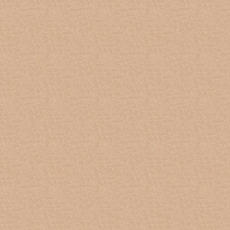 Inspiring carpet by Dixie Home