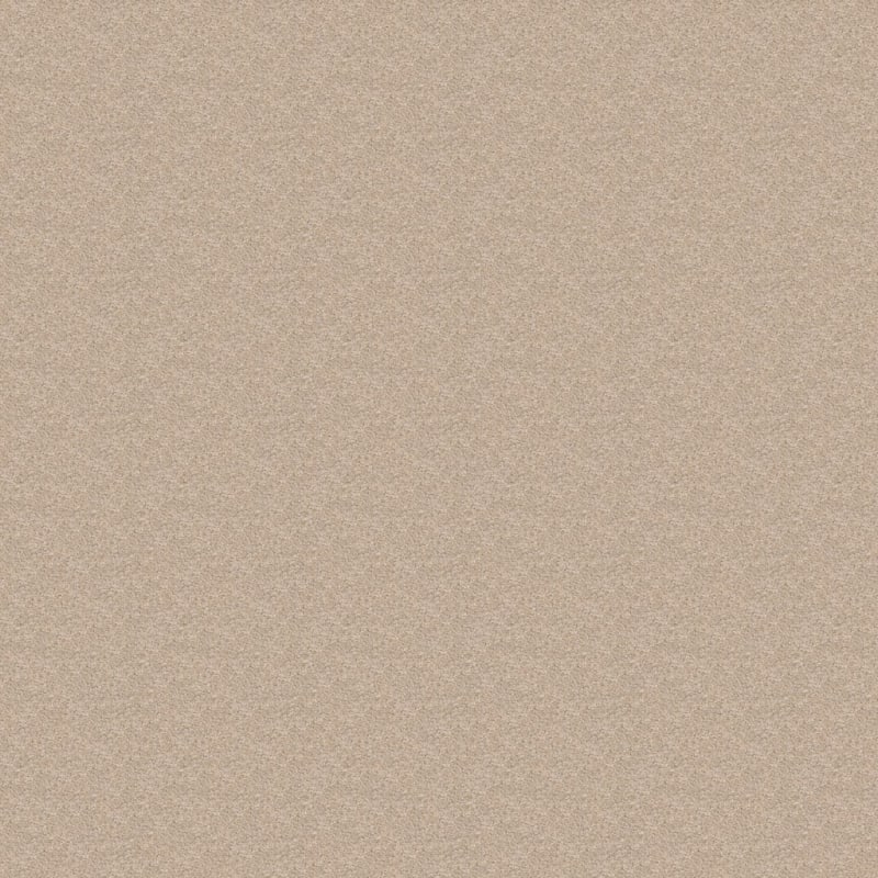 Cozy carpet by Dixie Home