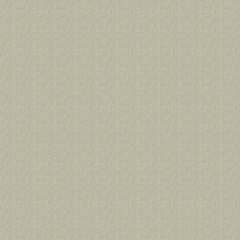 Katie's Comfort carpet by Dixie Home