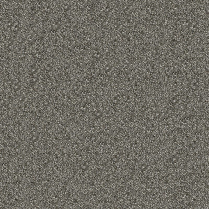 Big Idea carpet by Dixie Home