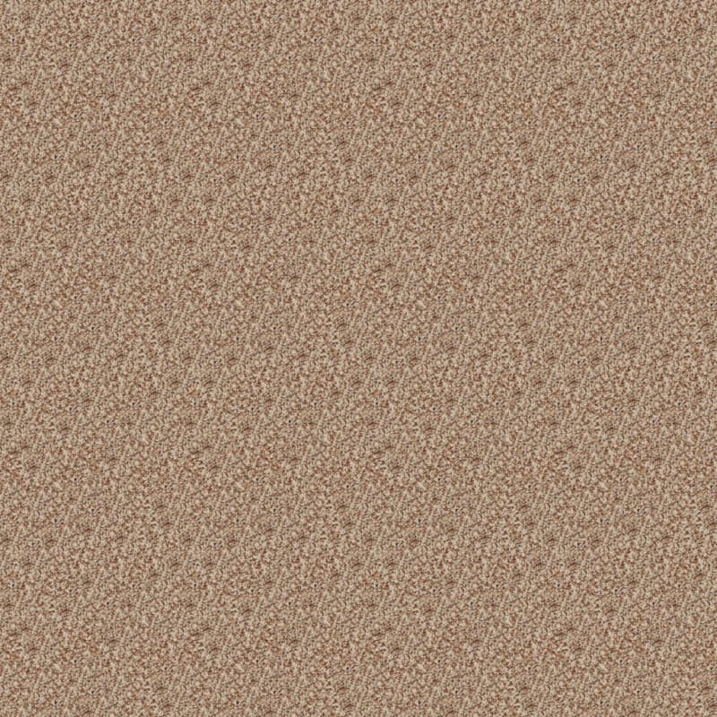 Bombay carpet by Dixie Home