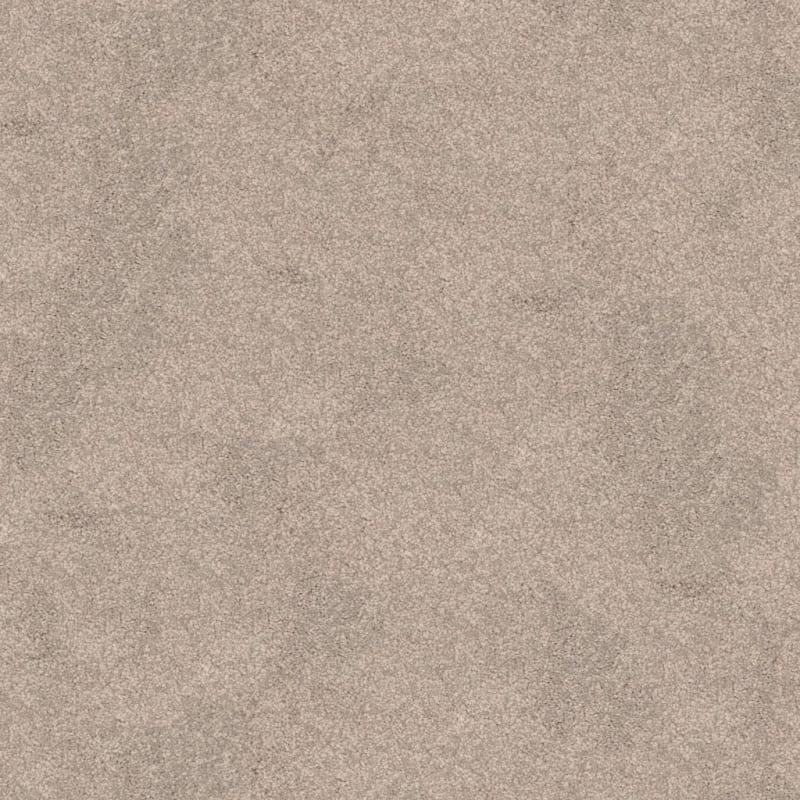 True Comfort carpet by Dixie Home