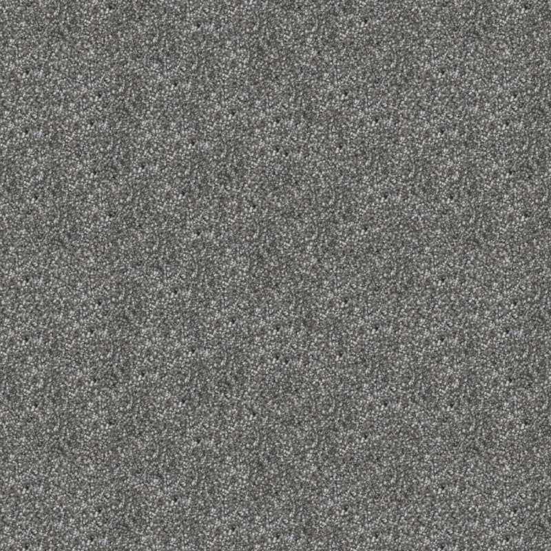 Dx169 carpet by Dixie Home