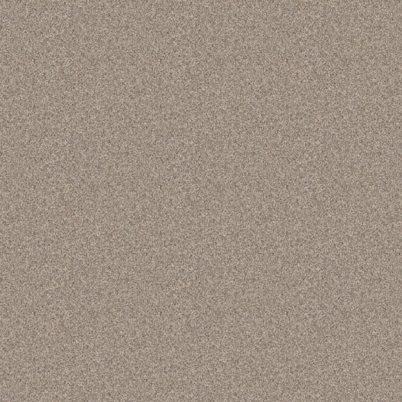Affection carpet by Dixie Home