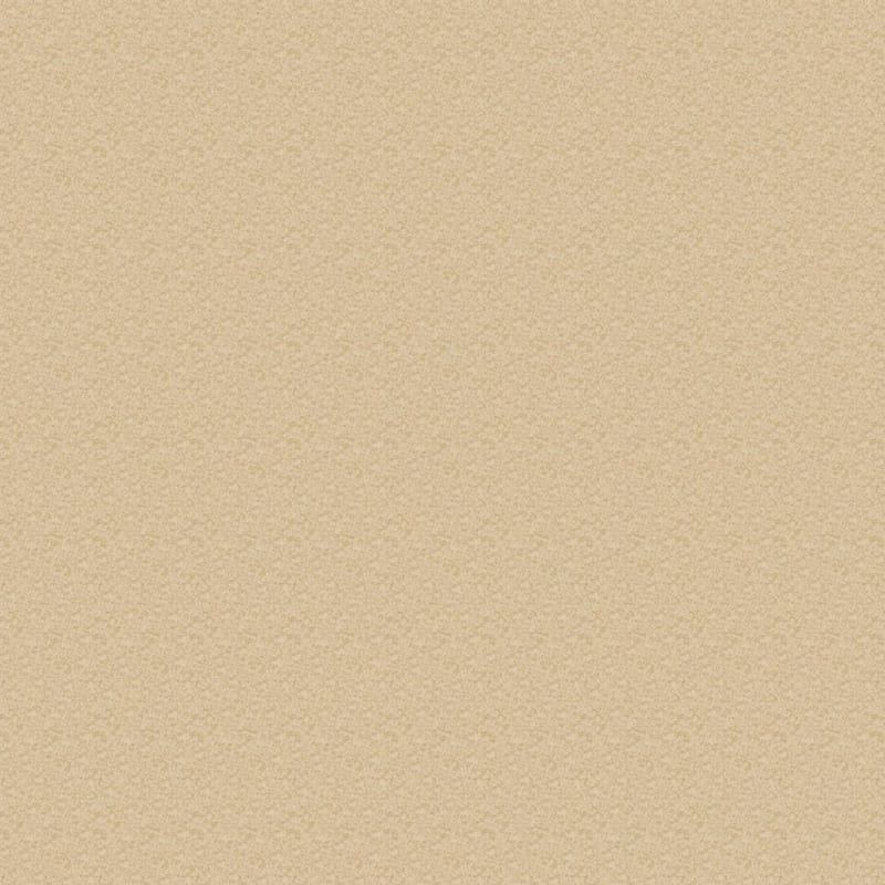 Innovations carpet by Dixie Home