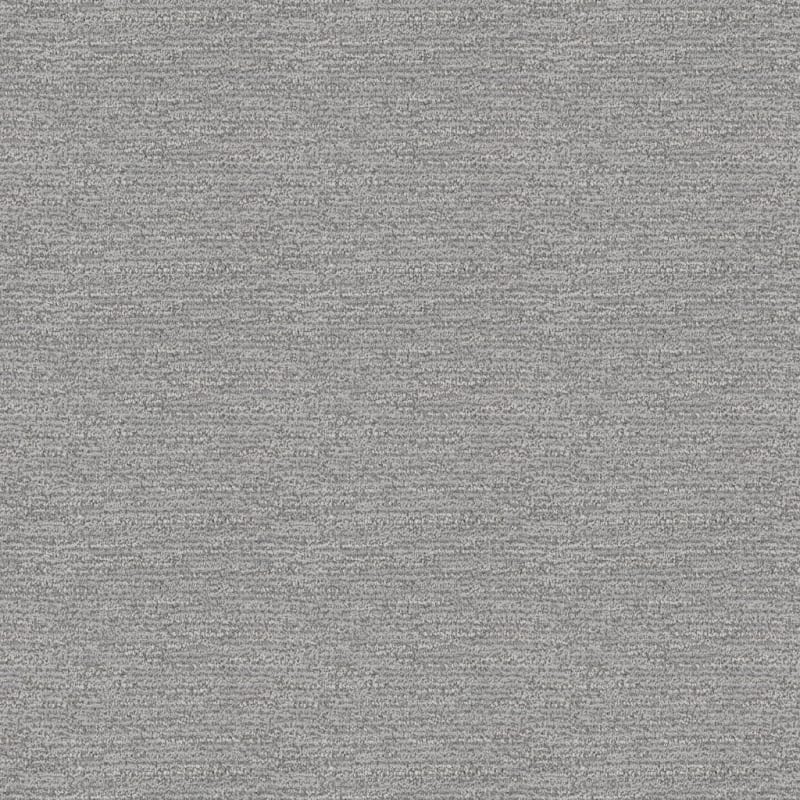 Contentment carpet by Dixie Home