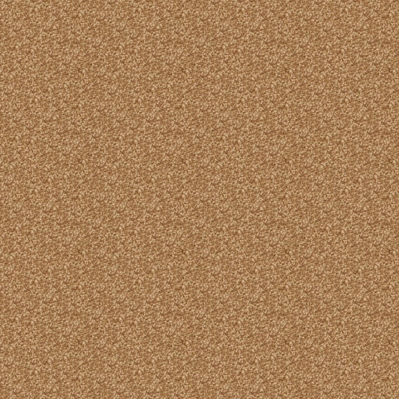 Cozy carpet by Dixie Home