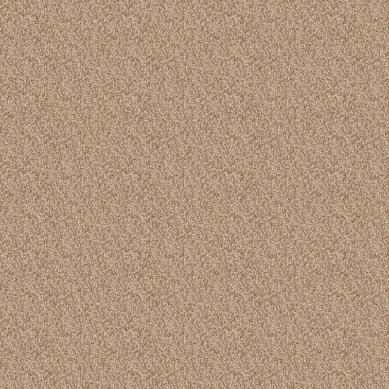Cozy carpet by Dixie Home