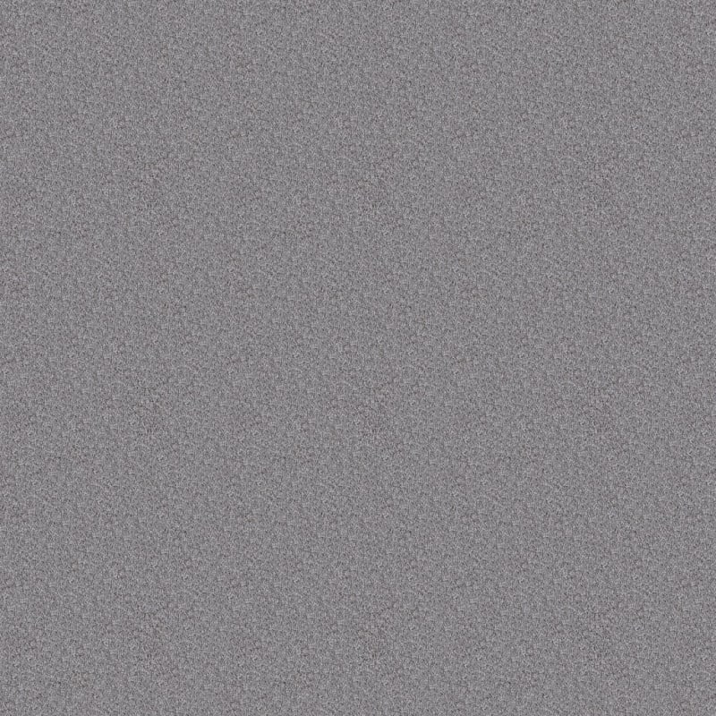 Dx150 carpet by Dixie Home