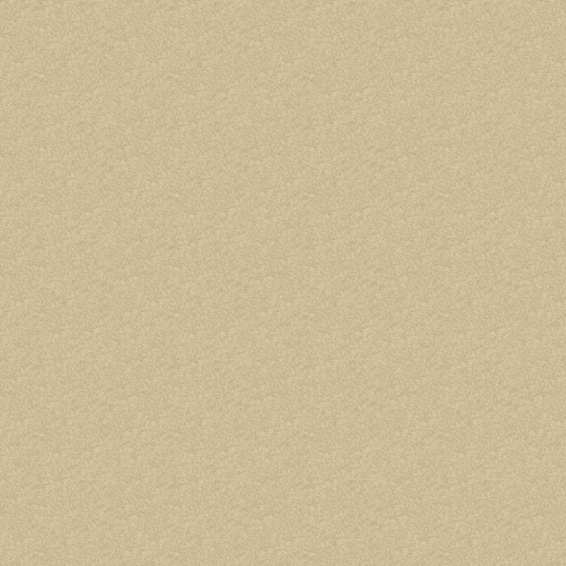 Inspiring carpet by Dixie Home