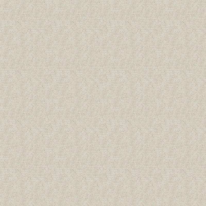 Balance carpet by Dixie Home