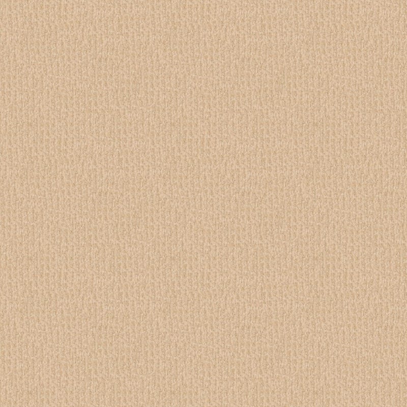Yucatan carpet by Dixie Home