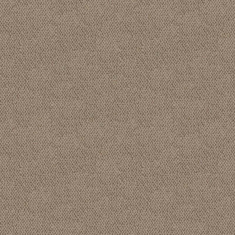 Authentic Living carpet by Dixie Home