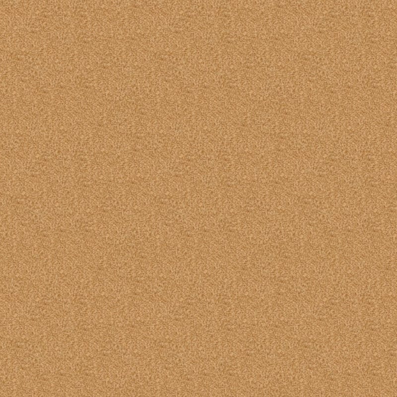 Innovations carpet by Dixie Home