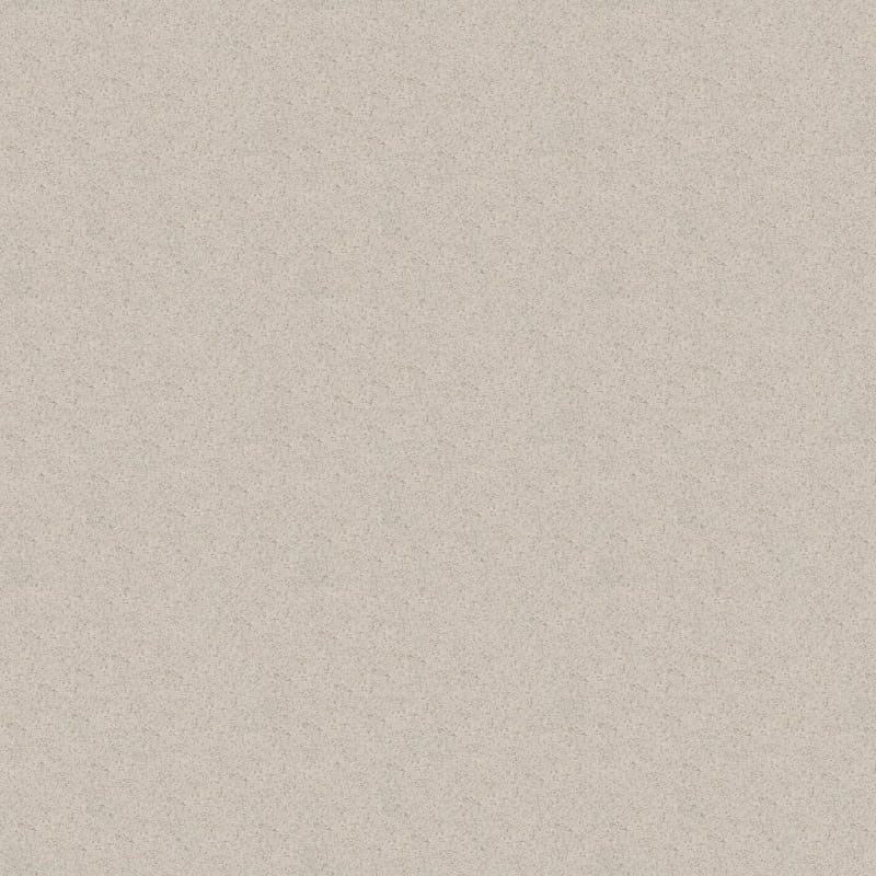 Legit carpet by Dixie Home