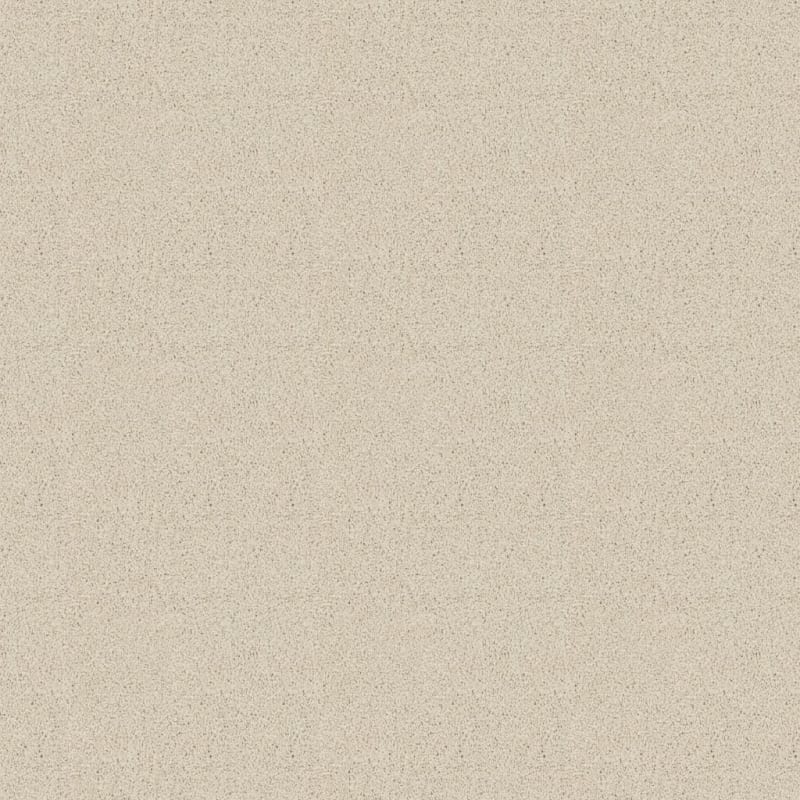 Adore carpet by Dixie Home