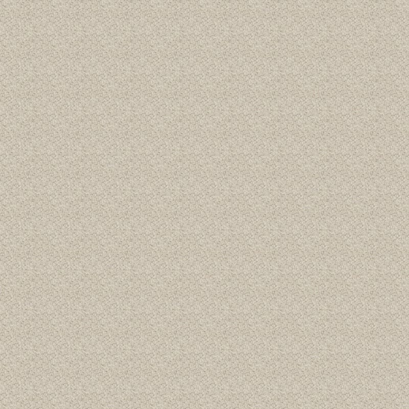 Aspects carpet by Dixie Home