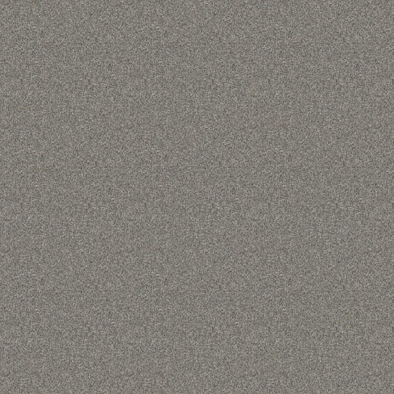 Admiration carpet by Dixie Home