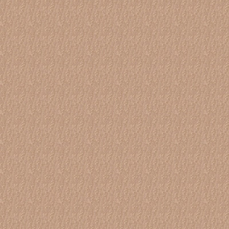 Attributes carpet by Dixie Home