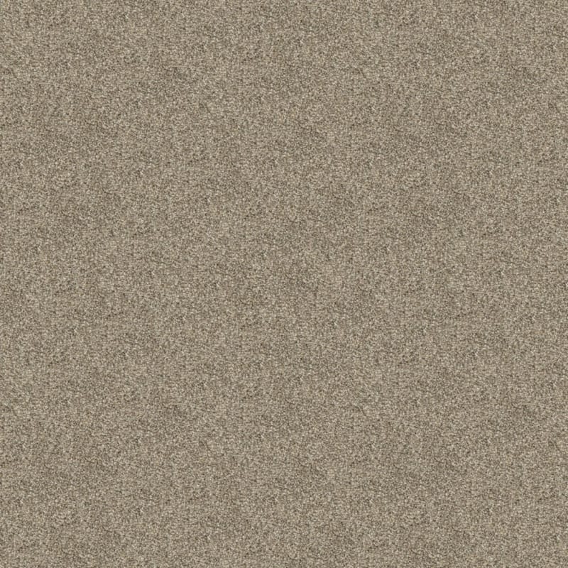 Big Idea carpet by Dixie Home