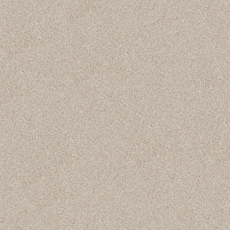 Big Dog carpet by Dixie Home