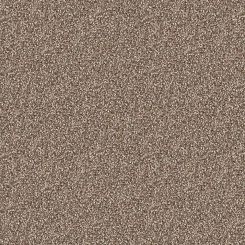 Great Dane carpet by Dixie Home