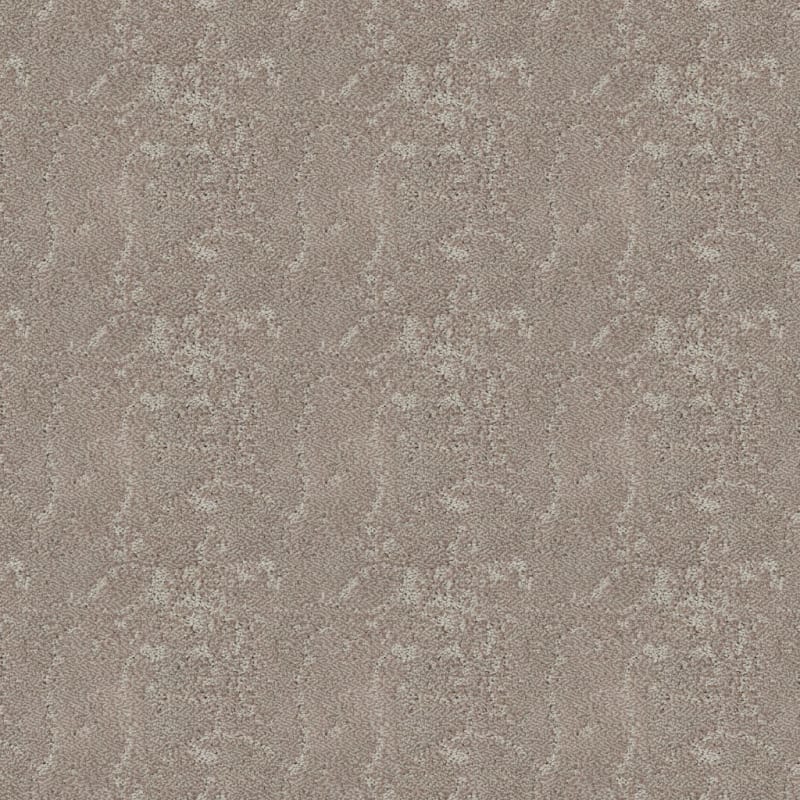 Shelter carpet by Dixie Home