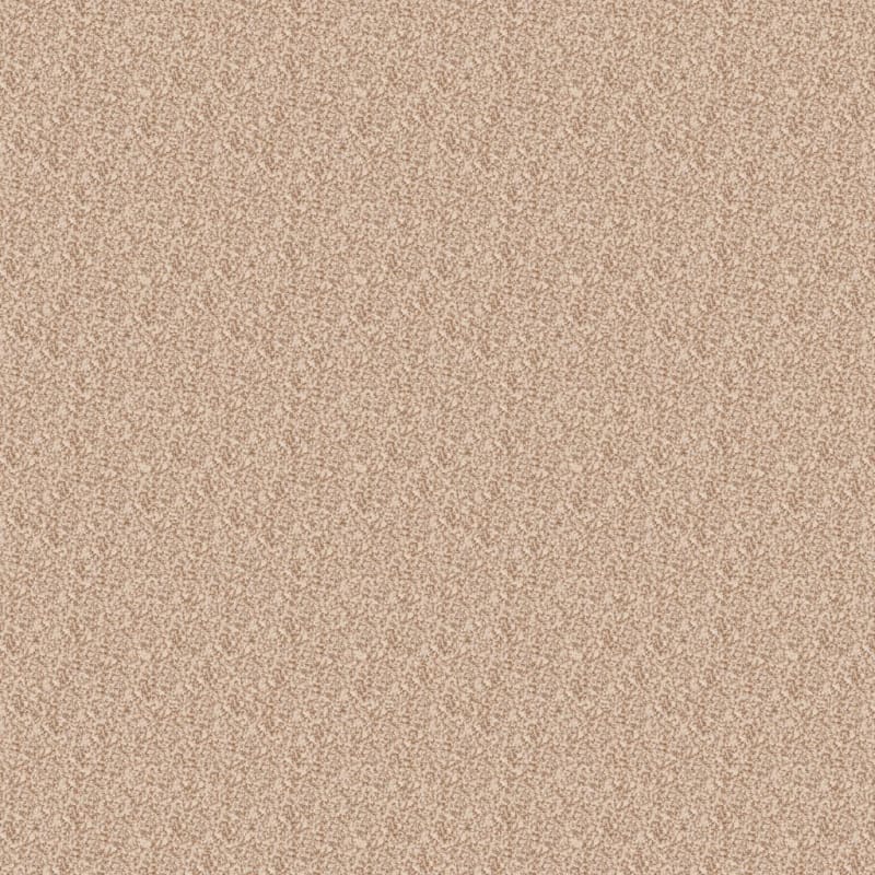 Delight carpet by Dixie Home