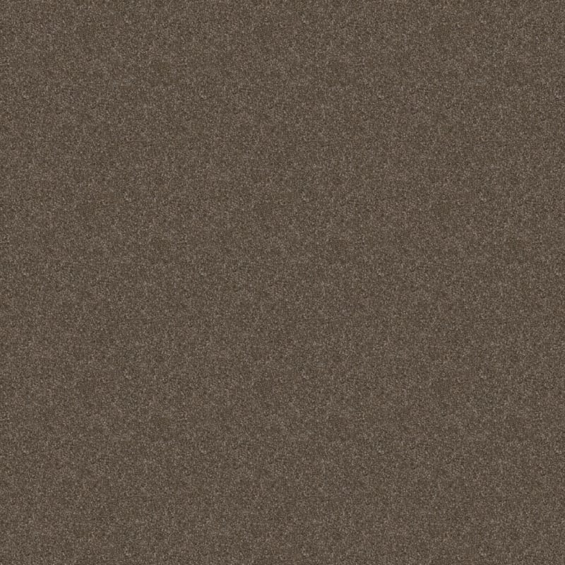 Labrador carpet by Dixie Home