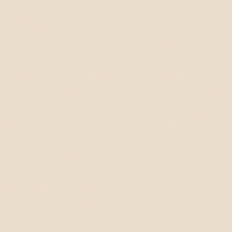Grand Isle carpet by Dixie Home