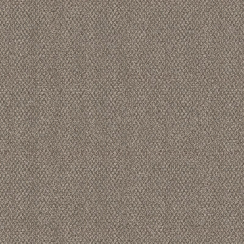 Calm carpet by Dixie Home