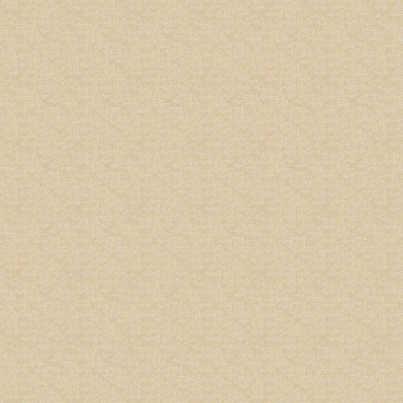 Amazing carpet by Dixie Home