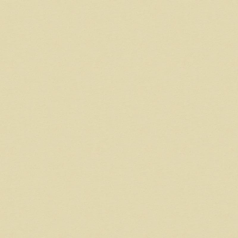 Grand Isle carpet by Dixie Home