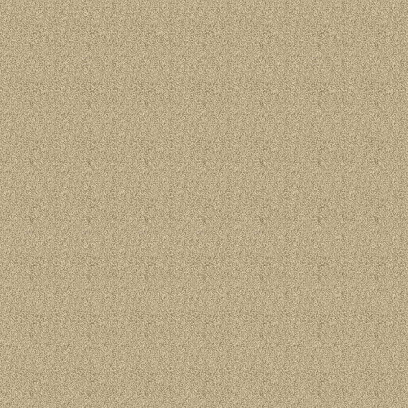 Colorworks carpet by Dixie Home