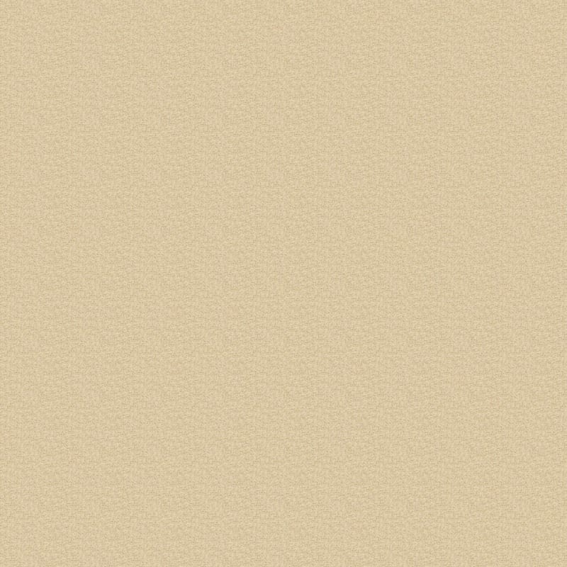Colorworks carpet by Dixie Home