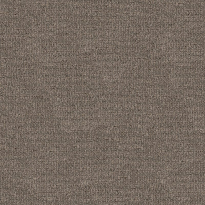 Mindful carpet by Dixie Home
