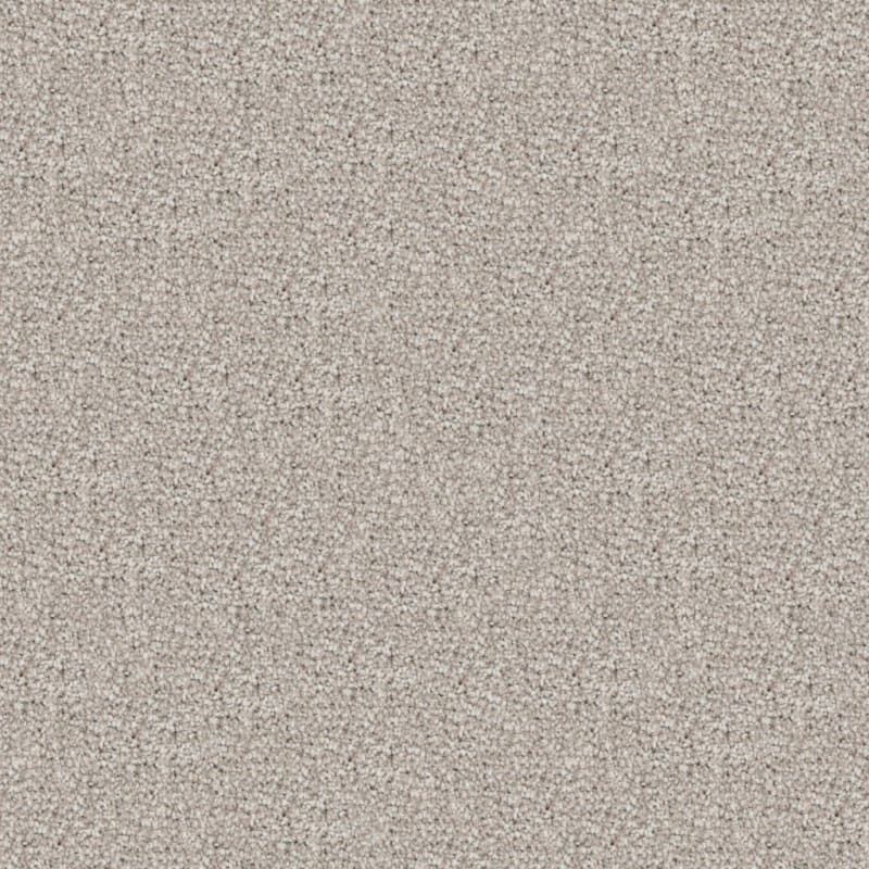 Great Dane carpet by Dixie Home