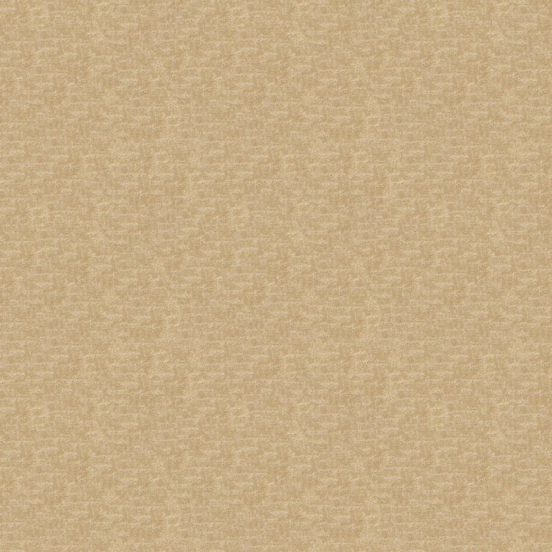 Amazing carpet by Dixie Home