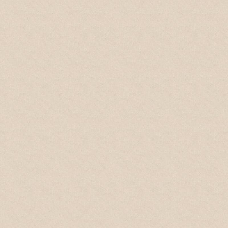 Inspiring carpet by Dixie Home