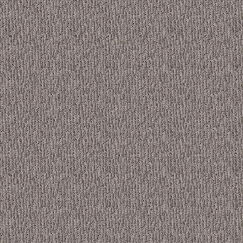 Inviting carpet by Dixie Home