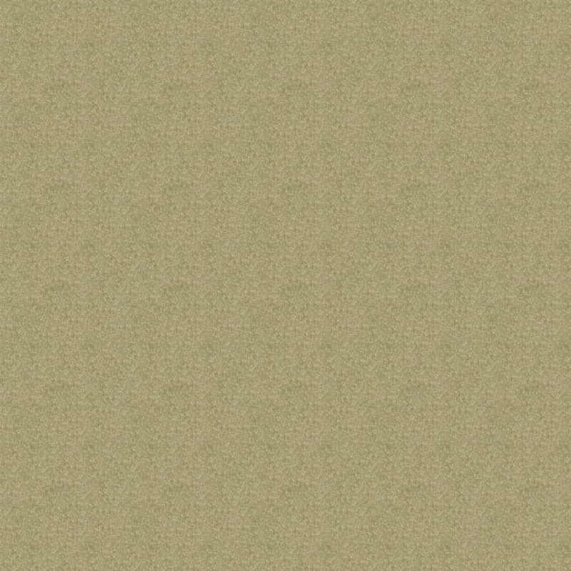 Inspiring carpet by Dixie Home