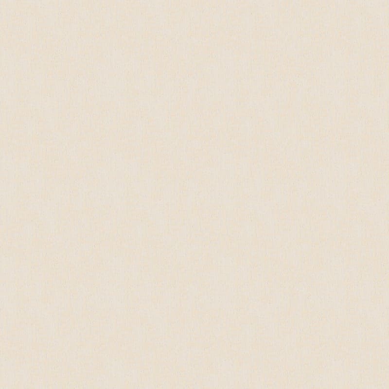 Teton carpet by Dixie Home
