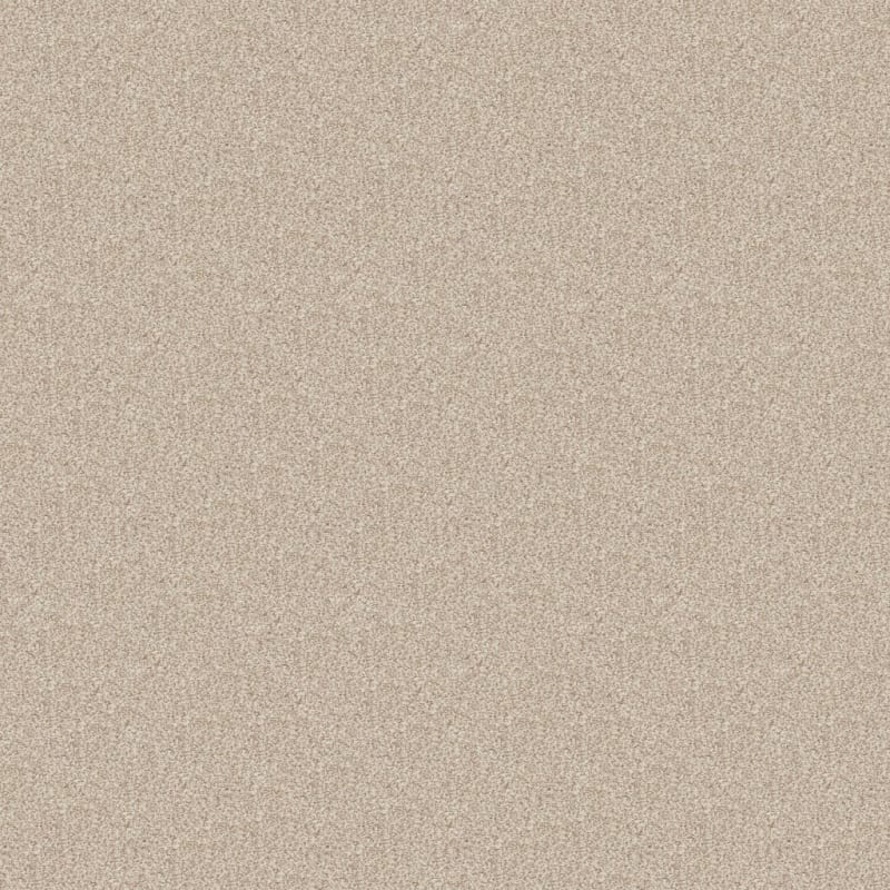 Dawn's Delight carpet by Dixie Home