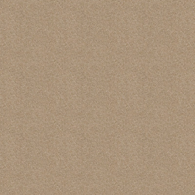 Labrador carpet by Dixie Home