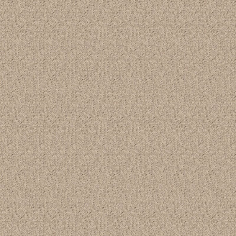 Chilton carpet by Dixie Home
